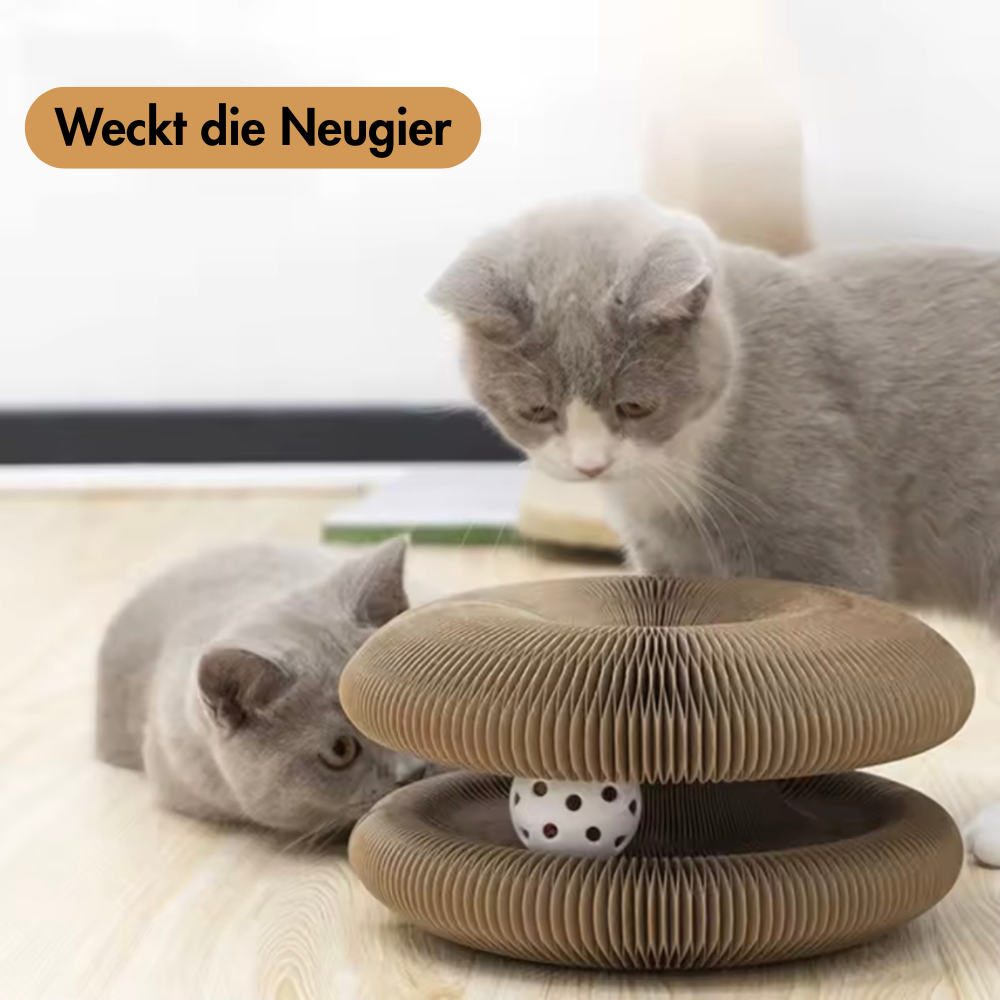 Pawsdream MindGame™