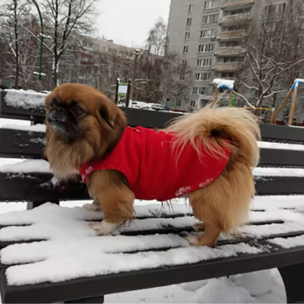 Pawsdream Fleecetraum