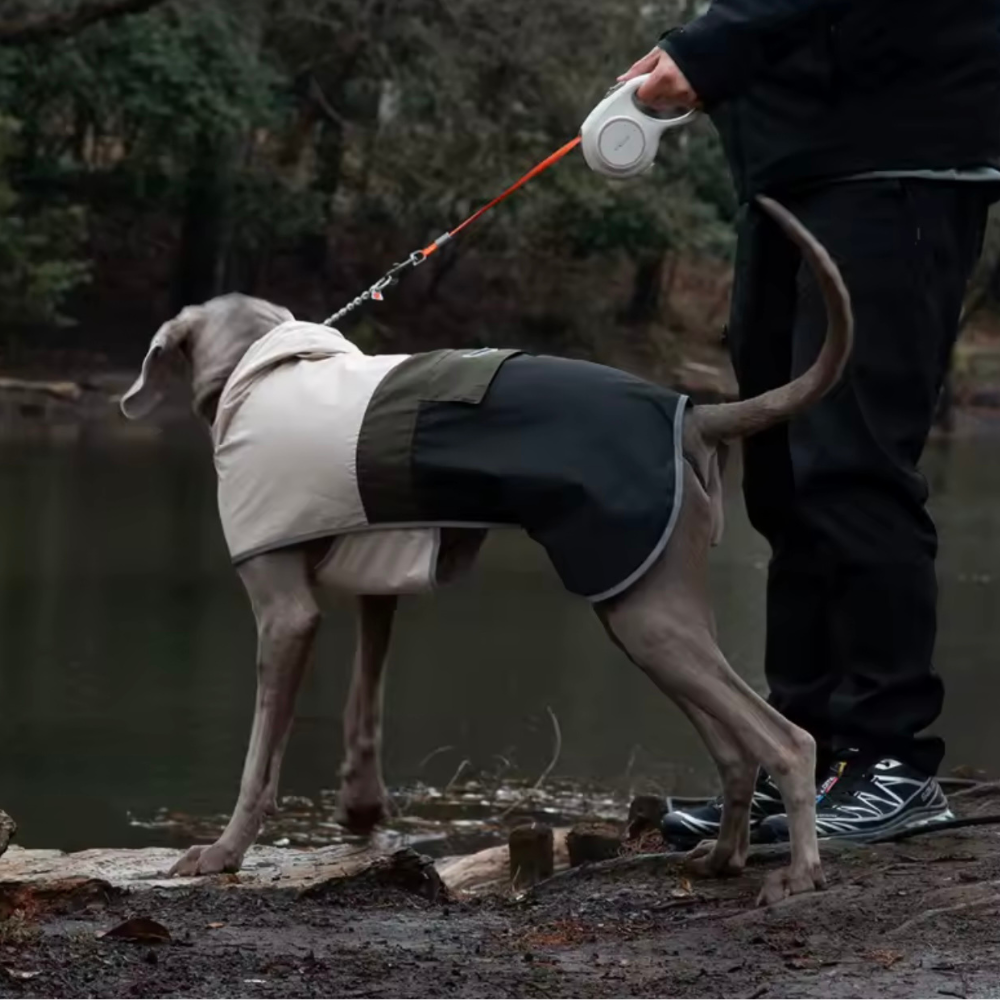 Pawsdream Regenmantel