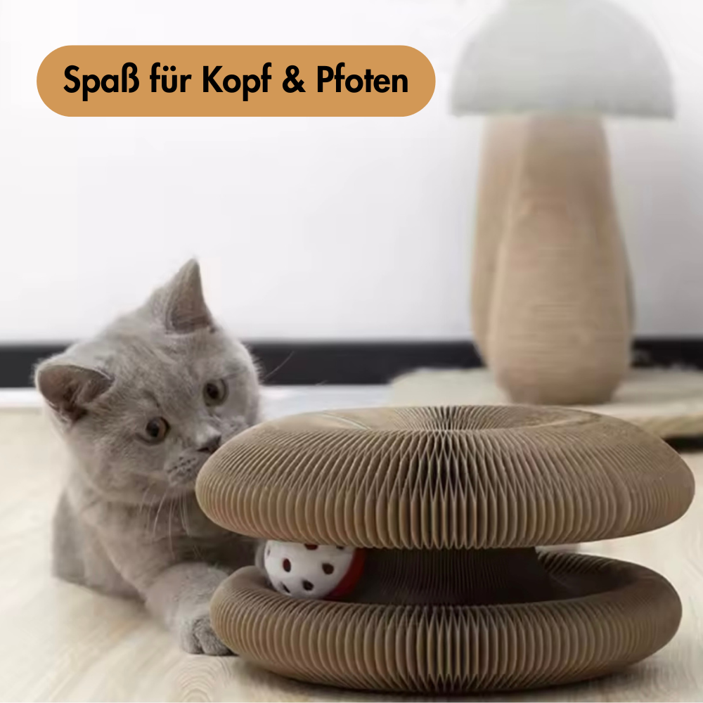 Pawsdream MindGame™