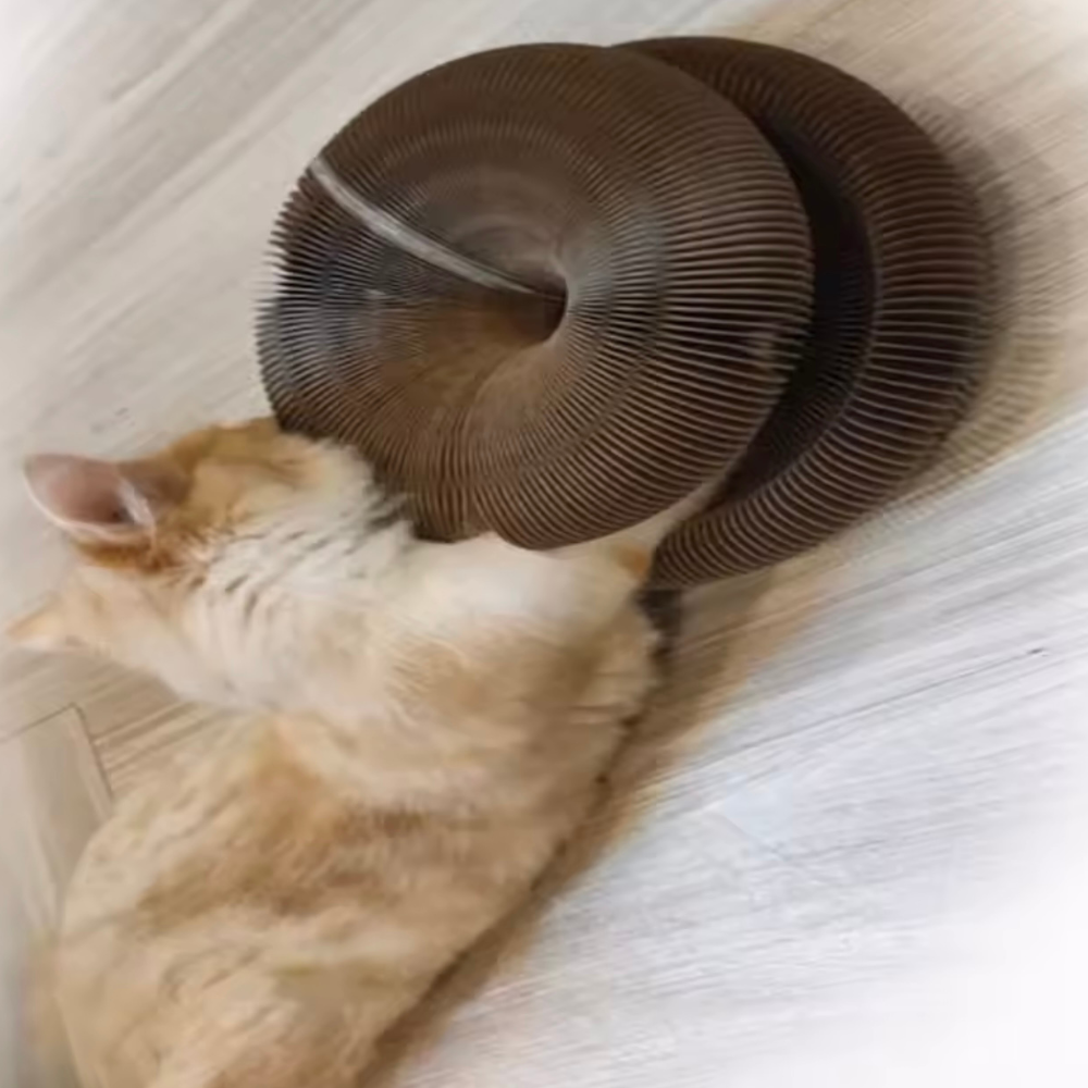 Pawsdream MindGame™