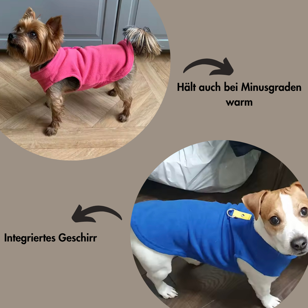 Pawsdream Fleecetraum