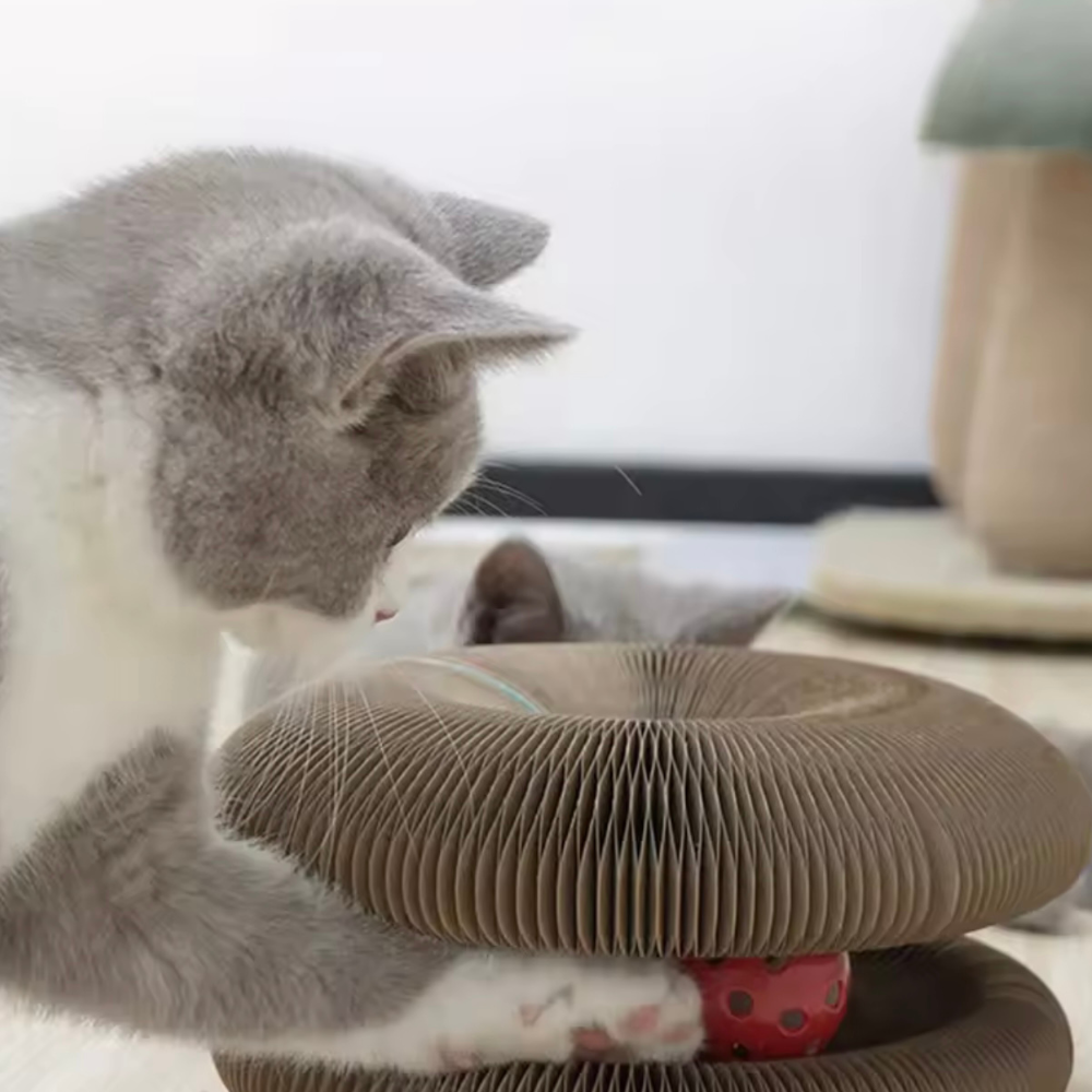 Pawsdream MindGame™