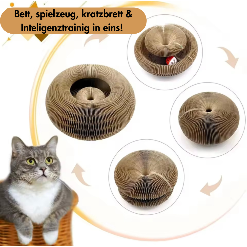 Pawsdream MindGame™