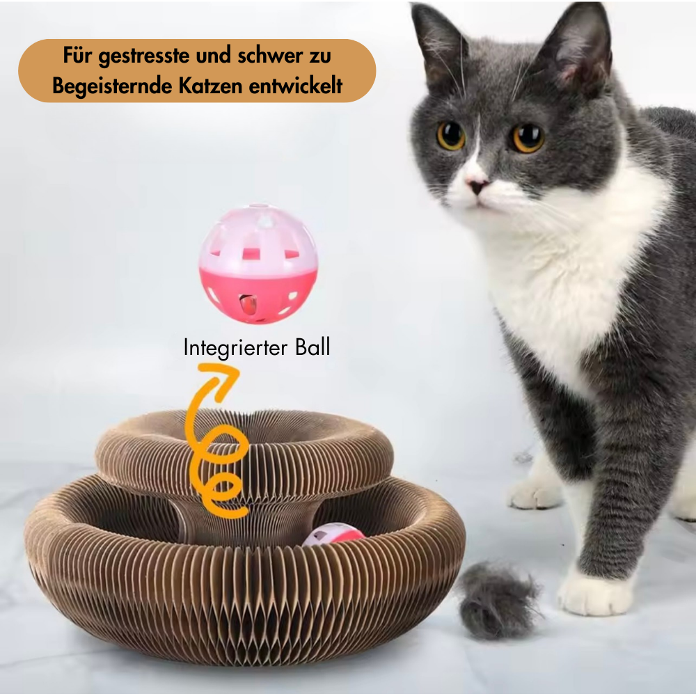 Pawsdream MindGame™