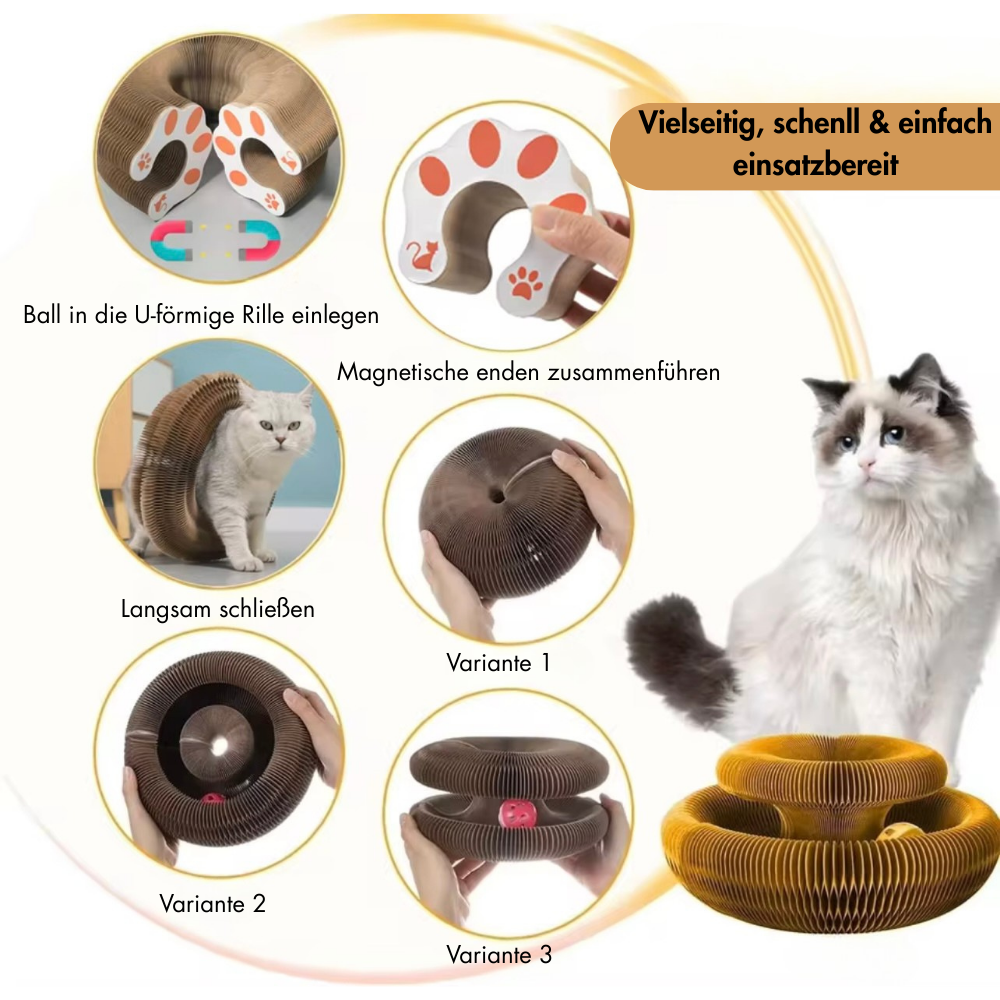 Pawsdream MindGame™