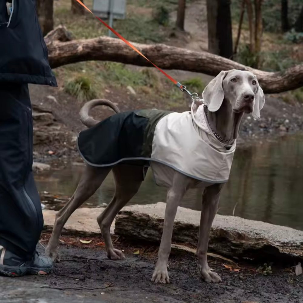 Pawsdream Regenmantel