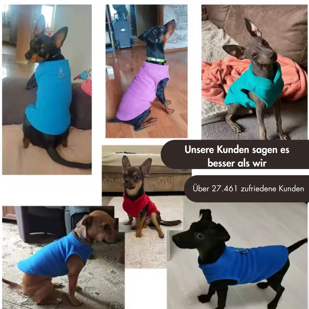 Pawsdream Fleecetraum